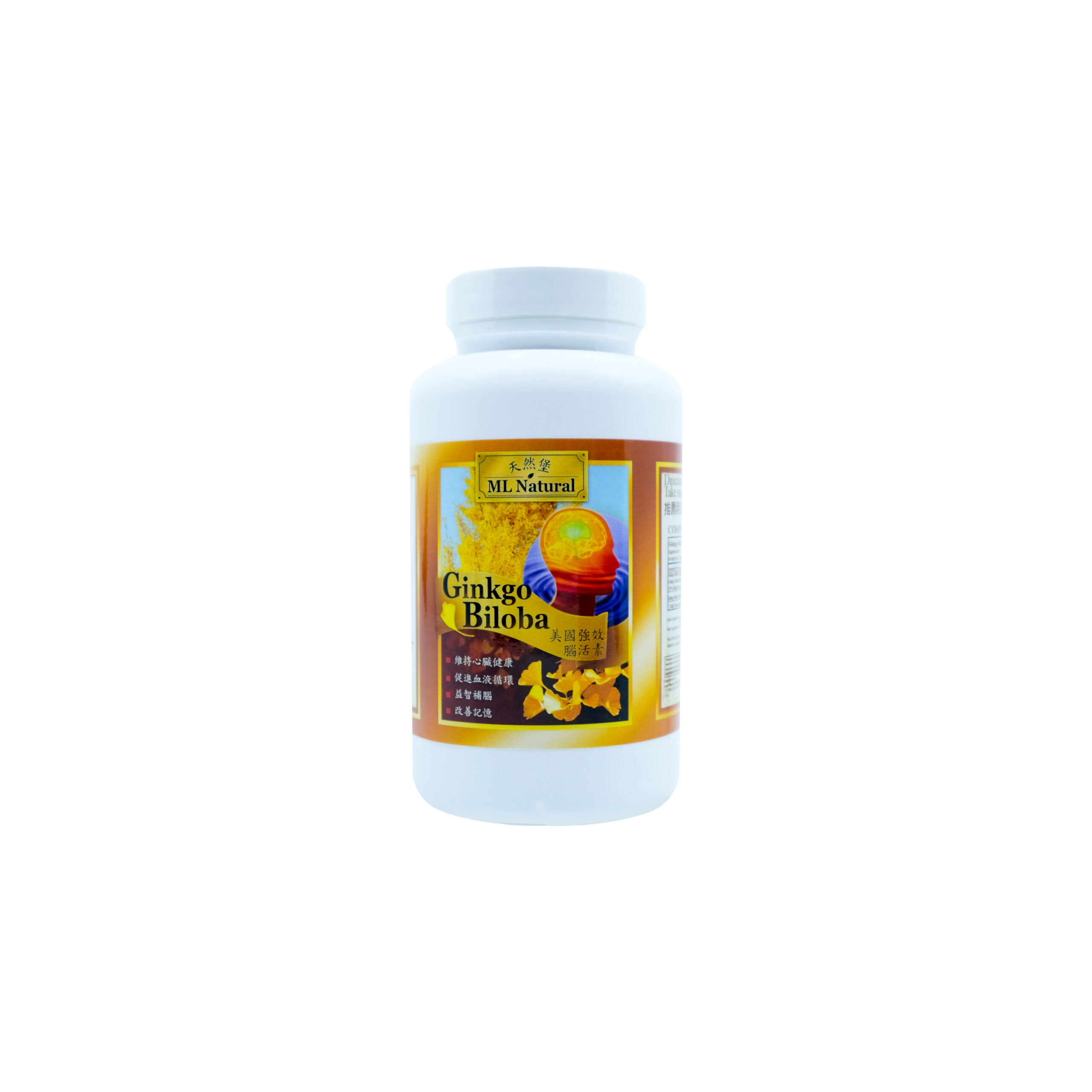 Gingko Biloba